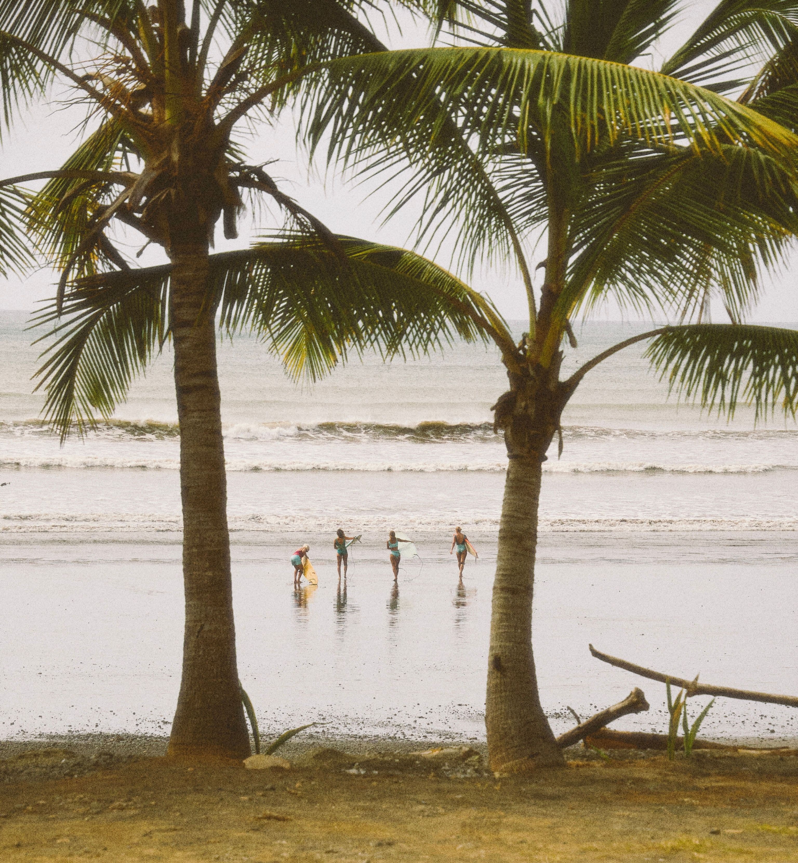 Certified surf lessons - not a hobby, but a passion